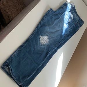 Express ankle length jeans
